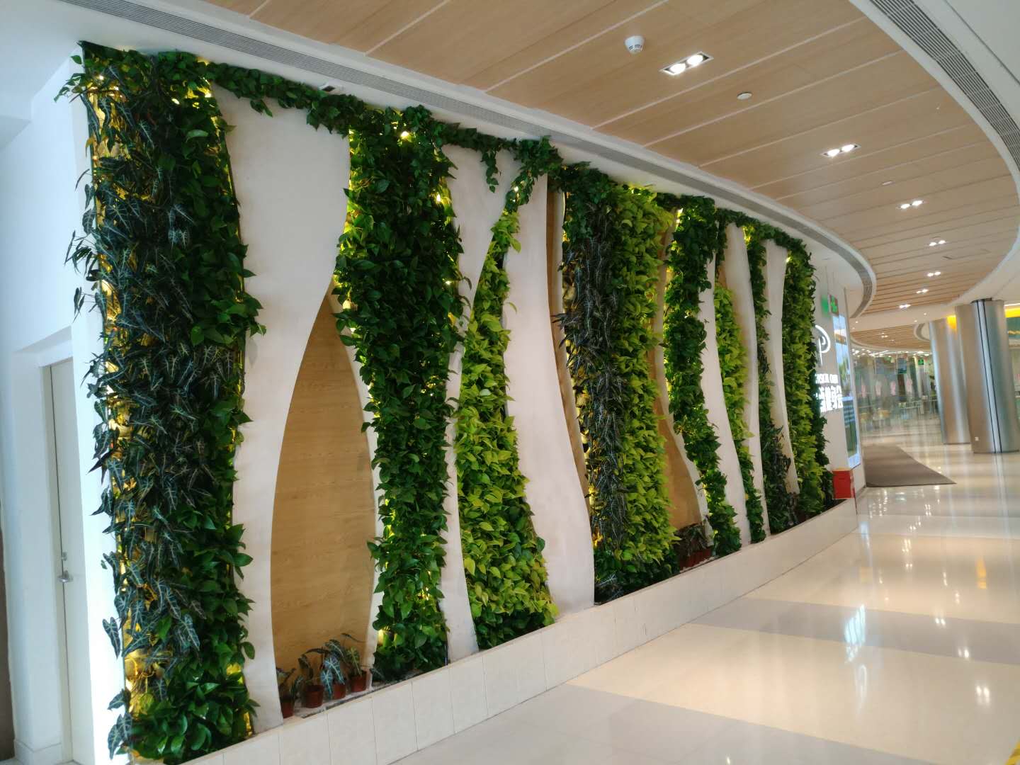 资产管理公司Prusik积极看好香港股市 旗舰基金年内19%回报领先同业