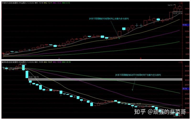 大地客·冲口醒狮营地获评为全国汽车自驾运动营地
