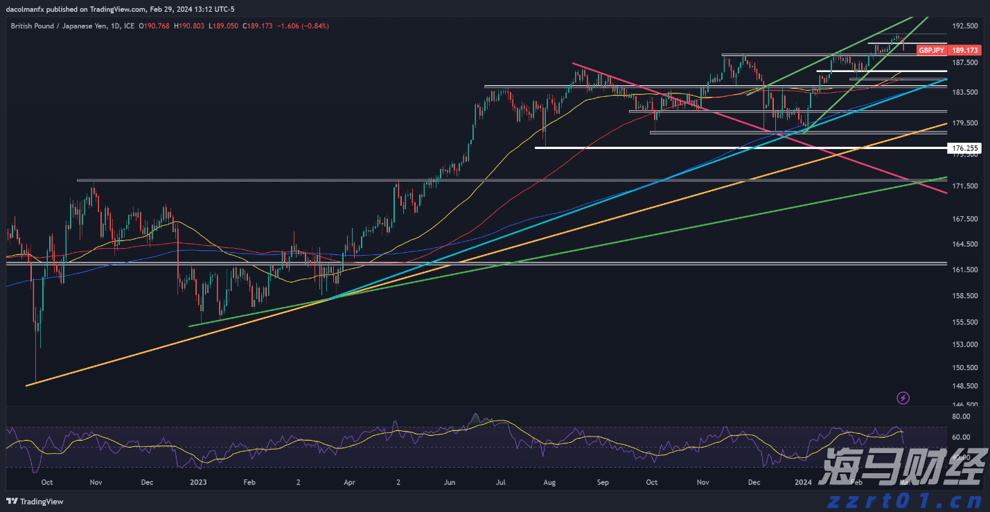 海南省市场监管局重拳打击售卖“砗磲”等违法行为 一小时查获9854件货值200万元