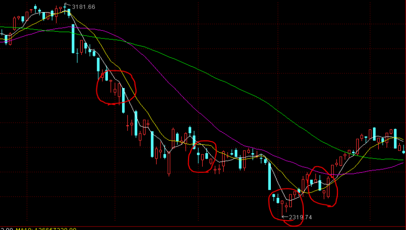 东莞启动防汛Ⅲ级应急响应 分镇暴雨红色预警扩展